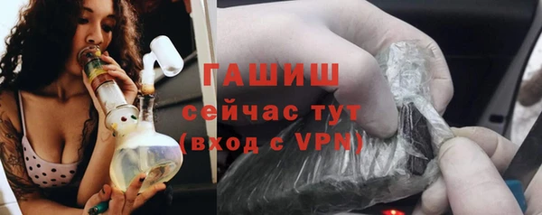 прущие грибы Абаза