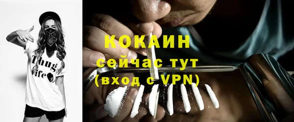 прущие грибы Абаза
