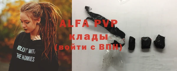 прущие грибы Абаза