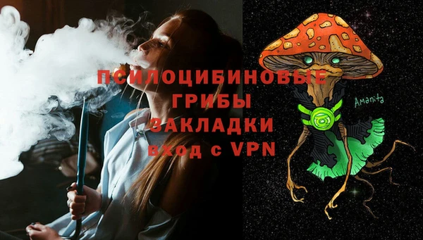 СК Абинск
