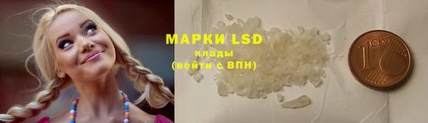 прущие грибы Абаза