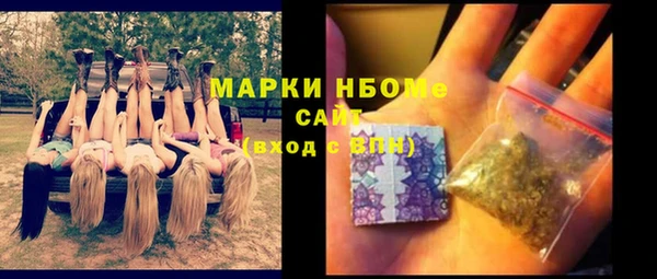 прущие грибы Абаза