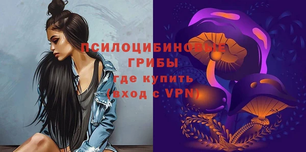 прущие грибы Абаза