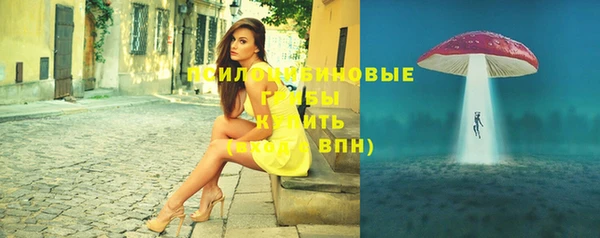 прущие грибы Абаза