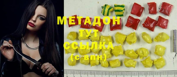 прущие грибы Абаза