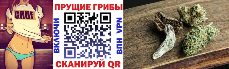 Псилоцибиновые грибы GOLDEN TEACHER  Электросталь 
